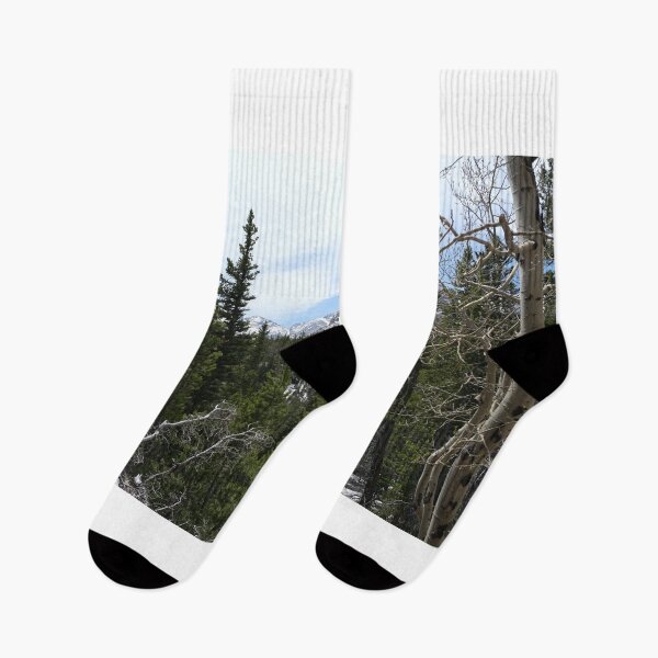 Item preview, Trees in the Colorado Mountains designed and sold by Haley-Marshall.