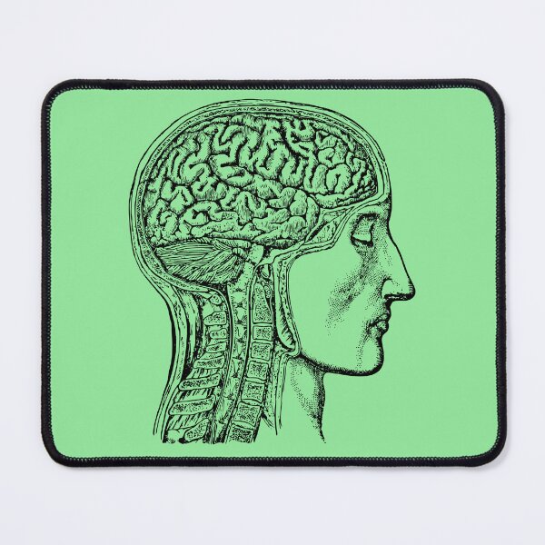 Item preview, Anatomy  designed and sold by FloridaKeys1984.