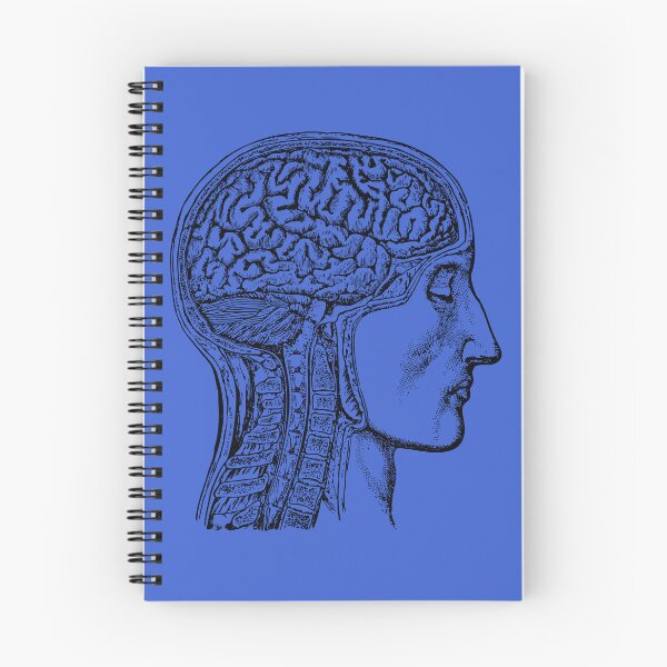 Item preview, Anatomy  designed and sold by FloridaKeys1984.