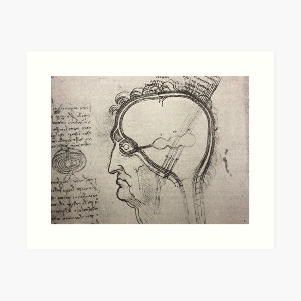Leonardo da Vinci head with eye nerves Art Print
