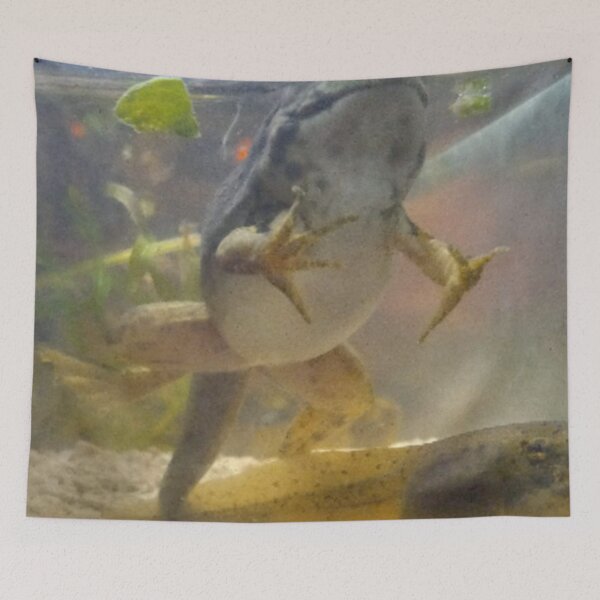Item preview, Bullfrog tadpole frog (fropole) designed and sold by BellsPainting.