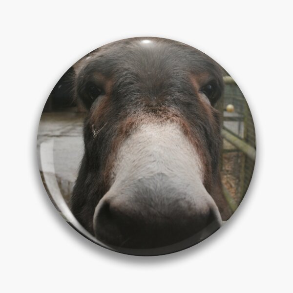 Item preview, Hee-haw 't' Be A Lot Happier designed and sold by LPYLPhotography.