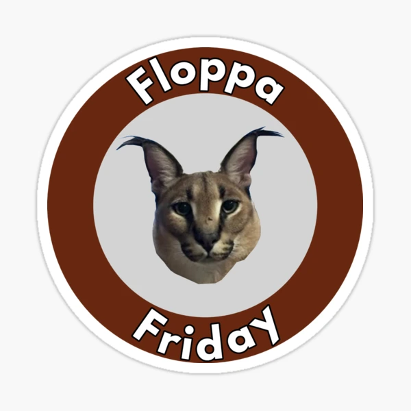 Happy floppa friday guys! . . . . . . . IGNORE #lovecats #instacat