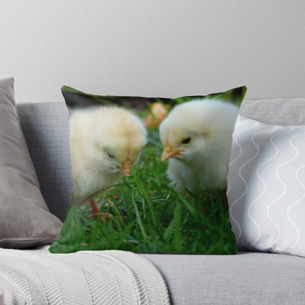Item preview, Can You See It? - Day Old Chicks - NZ designed and sold by AndreaEL.