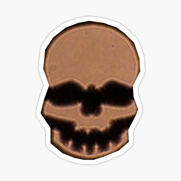 Skull Sticker