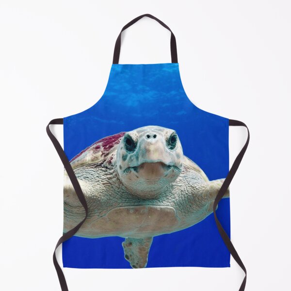 Aperçu de l'œuvre ANIMAUX #27 - Tortue de mer curieuse créée et vendue par DEL-Productions.