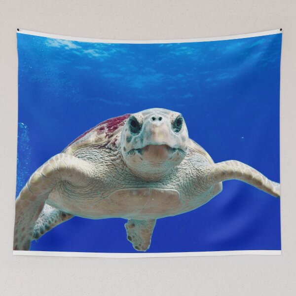 Aperçu de l'œuvre ANIMAUX #27 - Tortue de mer curieuse créée et vendue par DEL-Productions.