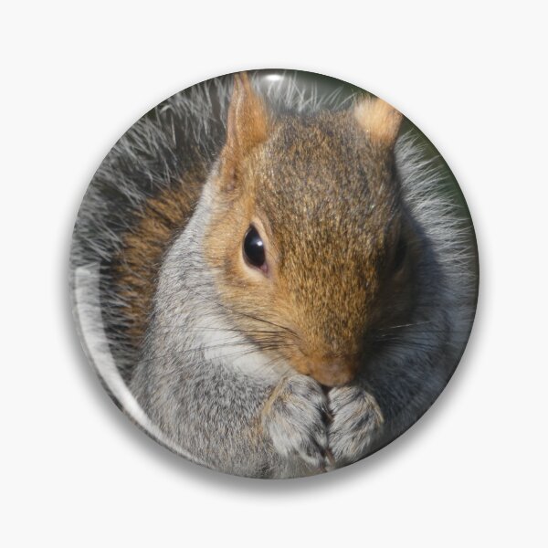 Item preview, Squirrel Square Meal designed and sold by Yampimon.