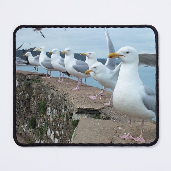 Item preview, West End Gulls designed and sold by Yampimon.