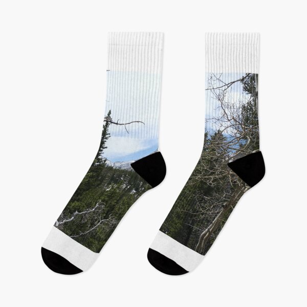 Item preview, Gothic Trees in the Mountains designed and sold by Haley-Marshall.