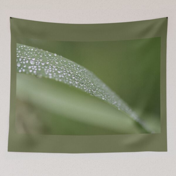 Item preview, Dewdrops for Days designed and sold by LisaNaturePhoto.