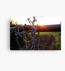 Jagged edges Canvas Print