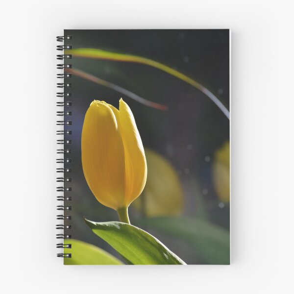 Item preview, Yellow Tulip in the Window sill designed and sold by lizdomett.