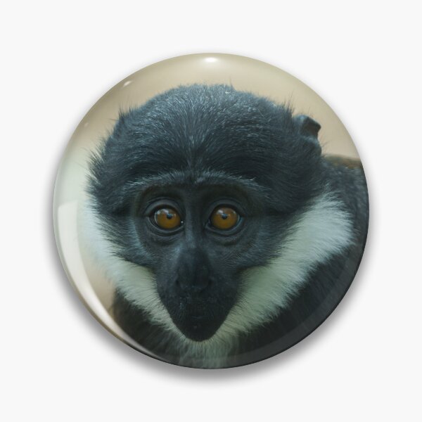 Item preview, Baby L’Hoest Monkey designed and sold by rawshutterbug.