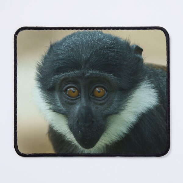 Item preview, Baby L’Hoest Monkey designed and sold by rawshutterbug.