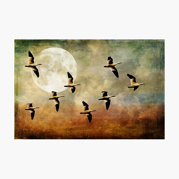 Item preview, So Many Sad Goodbyes designed and sold by Lois  Bryan.
