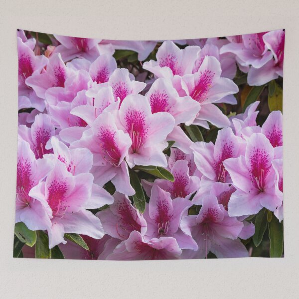 Item preview, Pink Azaleas designed and sold by Ross.A.Campbell.
