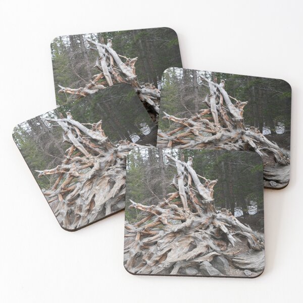 Item preview, Driftwood in the Forest designed and sold by Haley-Marshall.