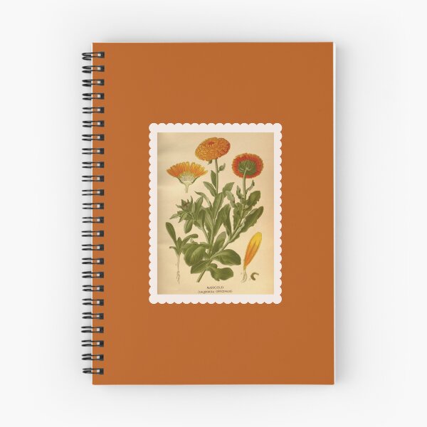 Item preview, Calendula - Scientific Stamp designed and sold by Bowltanicals.