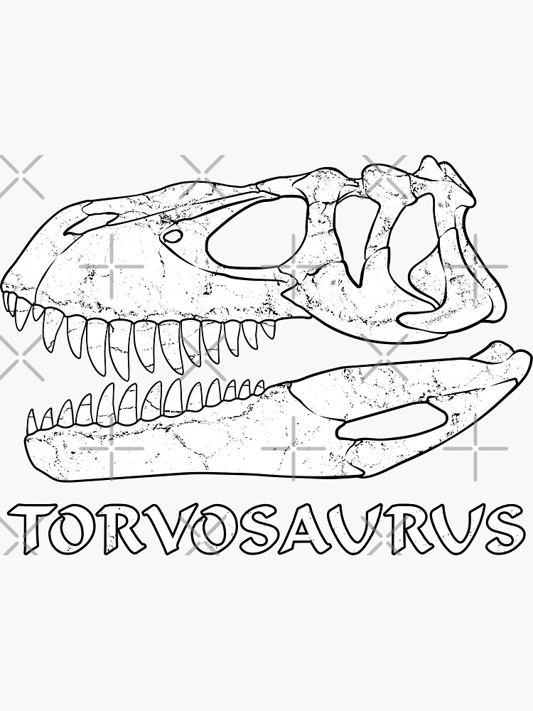 Torvosaurus Fossil Sticker For Sale By Nicgraygraphic Redbubble