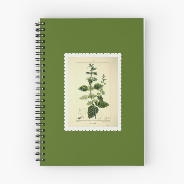 Item preview, Lemon Balm - Scientific Stamp designed and sold by Bowltanicals.