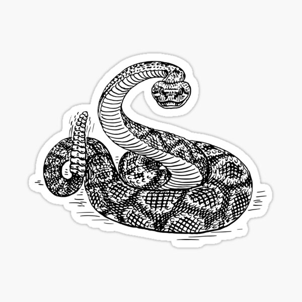 Item preview, Rattle Snake designed and sold by seriouscereal.