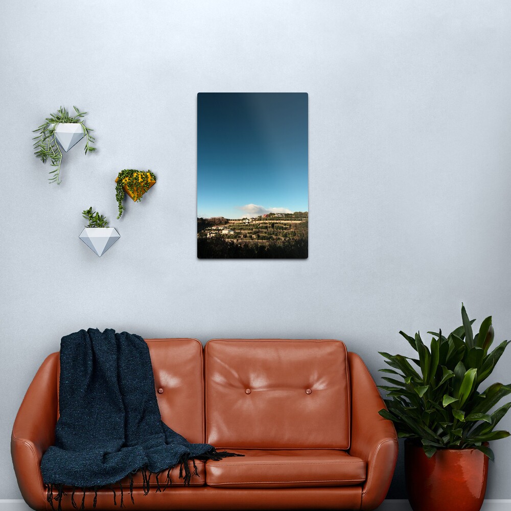Village and the Sky Metal Print