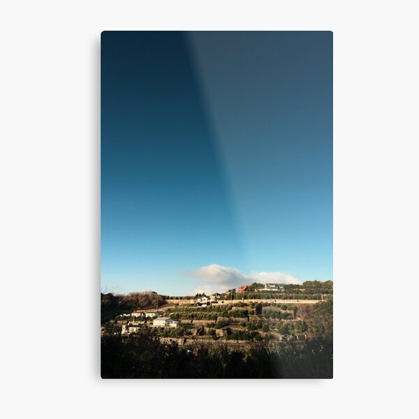 Village and the Sky Metal Print