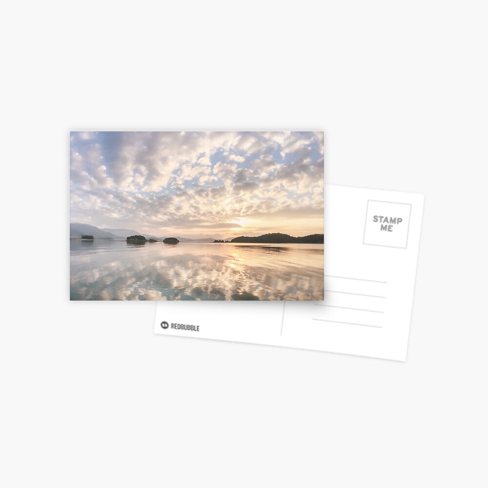 Morning Reflection Postcard
