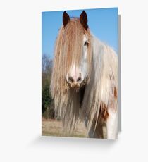 "Anyone got a brush?" Greeting Card