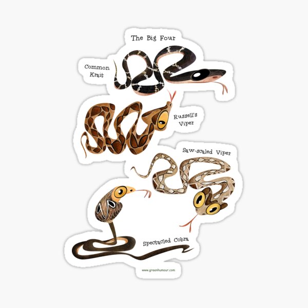Item preview, The Big Four venomous snakes of India designed and sold by Green Humour.