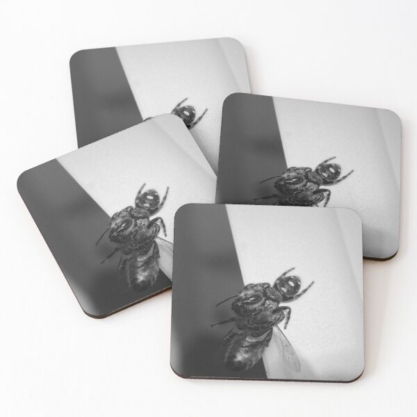 Item preview, bee and spider designed and sold by R-York.