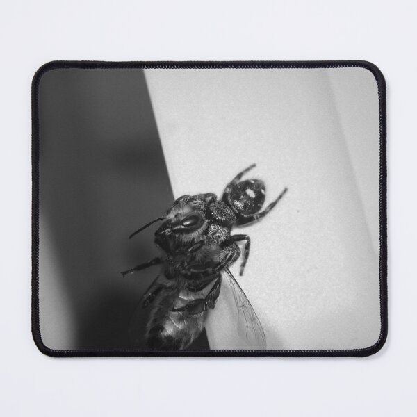 Item preview, bee and spider designed and sold by R-York.