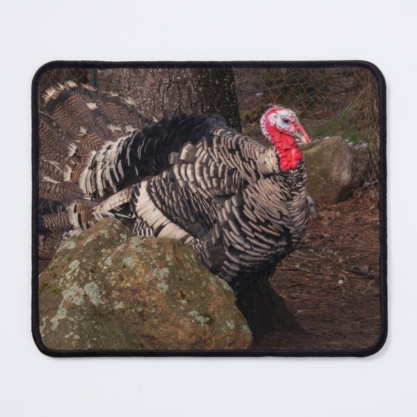 Item preview, turkey designed and sold by R-York.