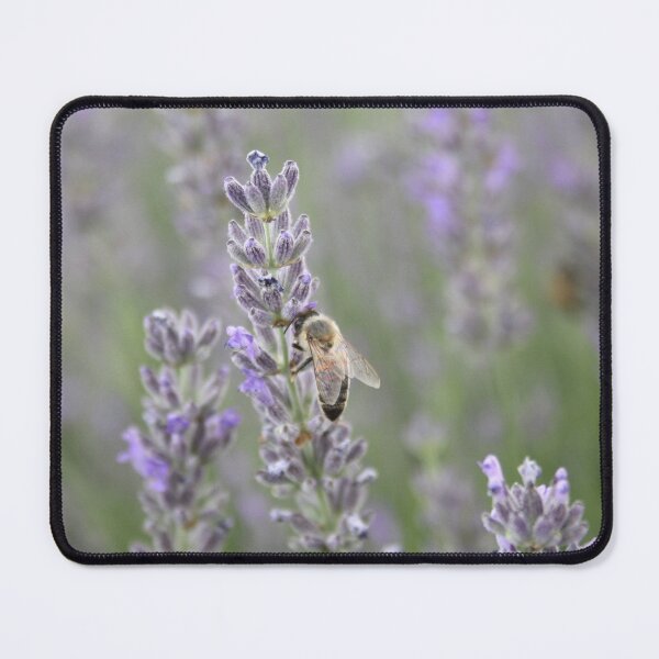 Item preview, Honeybee On Lavender Close Up Photography designed and sold by taiche.