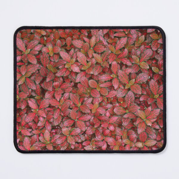 Item preview, Natural Abstracts - Variegated Leaves - July 2021 designed and sold by RedHillDigital.