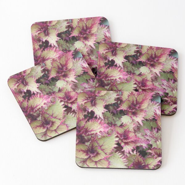 Item preview, Lex 1 designed and sold by Claire Burge.