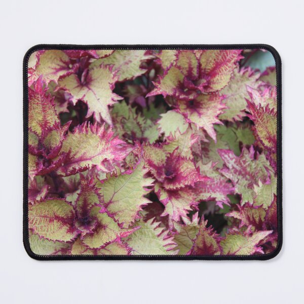 Item preview, Lex 1 designed and sold by Claire Burge.