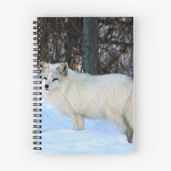 Item preview, Arctic Fox designed and sold by vette.