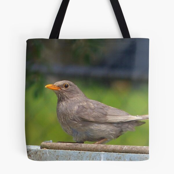 Item preview, I Went For The Silver Not Gold!- Blackbird - NZ designed and sold by AndreaEL.