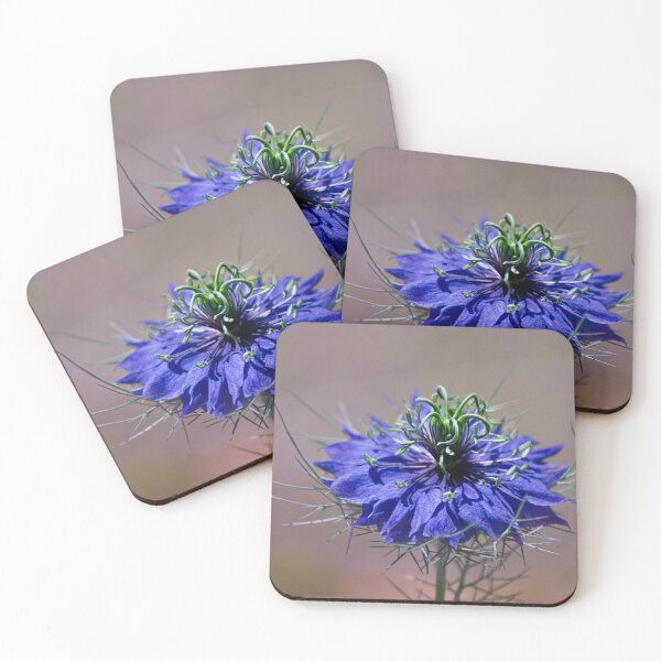 Item preview, Vivid Nigella designed and sold by Art in Nature.
