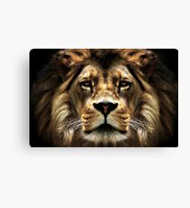 The Lion, the witch..... Canvas Print