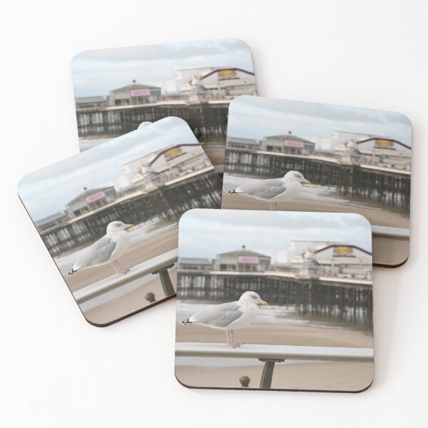 Item preview, Seagull & Pier designed and sold by LPYLPhotography.