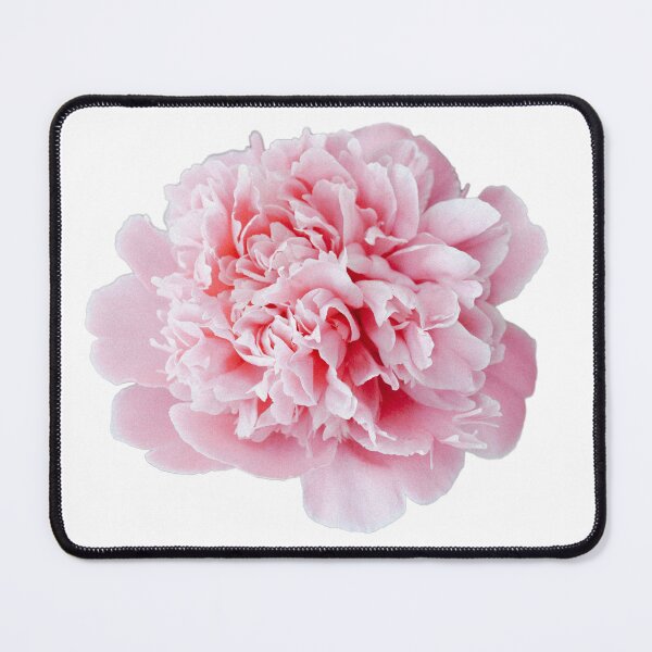 Item preview, Baby Pink Peony designed and sold by katiamelnik.