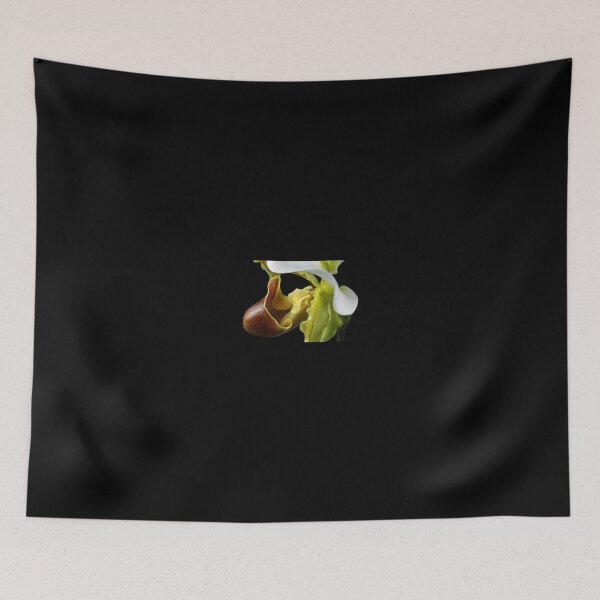 Item preview, lady's Slipper designed and sold by SmoothBreeze7 | Liz Collet Photography.