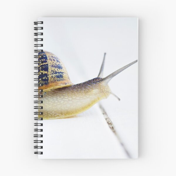 Item preview, Do NOT cross the LINE! designed and sold by Clare Colins.