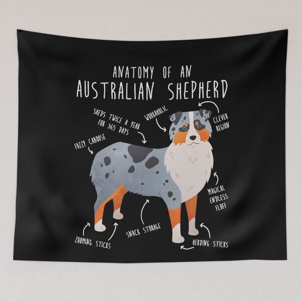 Item preview, Aussie Australian Shepherd Anatomy designed and sold by Clara Hollins.