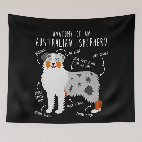 Item preview, Aussie Australian Shepherd Anatomy designed and sold by Clara Hollins.