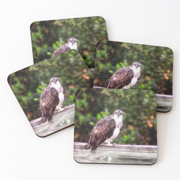 Item preview, Young Osprey designed and sold by Kathy Weaver.