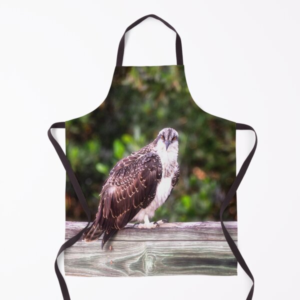 Item preview, Young Osprey designed and sold by Kathy Weaver.